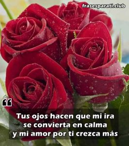 → 50 ???? Frases de Amor【 para mi ESPOSA 】 ????????↓【2024】